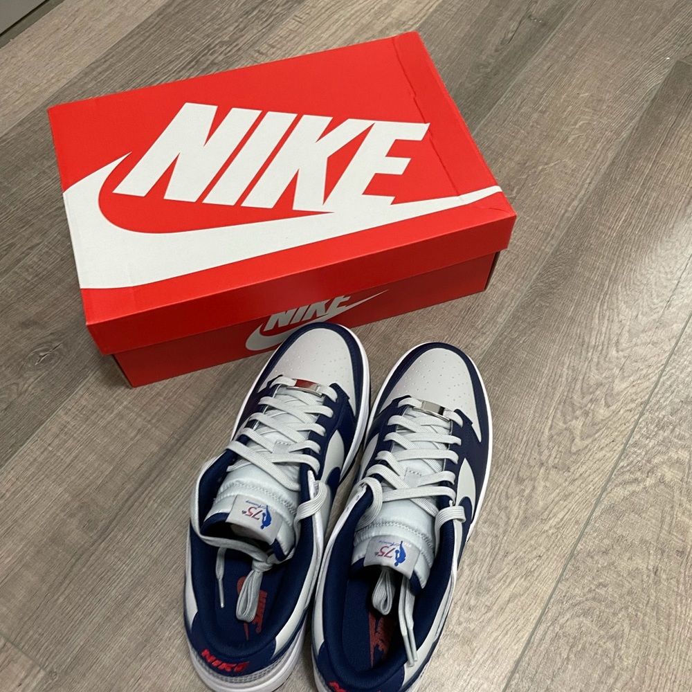 Nike Dunk Low EMB